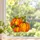 Autumn Pumpkin Trio Stained Glass Suncatcher For Fall Harvest Home Window Decor Gift Custom Shape Window Hanging Acrylic Ornament - 2
