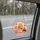 Dolly Parton Pink Country Music Keepsake For Christmas Tree Decor And Country Fans Custom Shape Window Hanging Acrylic Ornament - 5