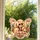 Dolly Parton Butterfly Holiday Keepsake for Country Music Fans and Christmas Trees Custom Shape Window Hanging Acrylic Ornament - 2