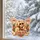 Dolly Parton Butterfly Holiday Keepsake for Country Music Fans and Christmas Trees Custom Shape Window Hanging Acrylic Ornament - 6
