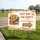 Personalized Fall Festival Yard Sign – Custom Family Name Arrow Lawn Sign, Pumpkin Autumn Party Decor - 5