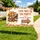 Personalized Fall Festival Yard Sign – Custom Family Name Arrow Lawn Sign, Pumpkin Autumn Party Decor - 4