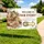 Personalized Event Welcome Yard Sign – Custom Group Name Arrow Lawn Sign, Outdoor Party Entrance Decor - 4