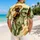 Funny Black Cat Riding Dinosaur Adventure For Beach Vacations And Summer Party Trips Hawaiian Shirt - 2