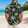 Mint Palm Tree Escape for Beach Holidays and Island Weekends, Relaxed Summer Style Hawaiian Shirt - 2
