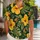 Yellow Hibiscus Family Beach Style For Dog Lovers Matching Vacation Holiday Outfits Hawaiian Shirt - 1