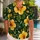Black Hibiscus Floral Couple Beach Look for Tropical Getaways and Resort Travel Style Hawaiian Shirt - 1