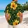 Black Hibiscus Floral Couple Beach Look for Tropical Getaways and Resort Travel Style Hawaiian Shirt - 2