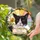 Personalized Cat Memorial Suncatcher – Custom Photo & Name Stained Glass Window Hanging, Pet Loss Gift - 1