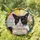 Personalized Cat Memorial Suncatcher – Custom Photo & Name Stained Glass Window Hanging, Pet Loss Gift - 2