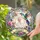 Personalized Memorial Hummingbird Suncatcher – Custom Photo, Name & Dates Window Hanging, Sympathy Gift - 1
