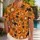 Whimsical Halloween Witch Mice And Friendly Hounds For Spooky Autumn Celebrations Hawaiian Shirt - 1