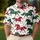 Red Green Galloping Horses for Christmas Holidays, Equestrian Fans, and Golf Lovers Men's Polo Shirt - 4
