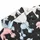 Pastel Poodle Dogs for Golf Days and Summer Outings, Women's Canine Lover Gift Idea Men's Polo Shirt - 6