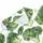 Broccoli Vegetable Motif for Golf Days, Summer Garden Style, and Veggie Lover Women Men's Polo Shirt - 6