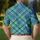 Blue Green Tartan Plaid Style for Golf Tennis and Pickleball Performance for Him Men's Polo Shirt - 5