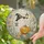 Charming Ghost Sipping Coffee On A Pumpkin Surrounded By Autumn Halloween Decor Stained Glass Suncatcher - 2