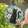Black Cat Among White Blossoms, Serene Home Accent For Cat Lovers And Garden Decor Stained Glass Suncatcher - 2