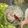 Red Cardinal Memorial Tribute With Loving Memory Theme For Bird Lover Families Everywhere Stained Glass Suncatcher - 2