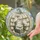 Whimsical Ghost Readers in Book Pumpkin for Cozy Reading Nook Halloween Decor Stained Glass Suncatcher - 2