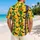 Orange Gingham Bats And Purple Stripes For Halloween Theme Park Night Festivities Hawaiian Shirt - 2