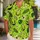 Neon Lime Patchwork Monster Faces for Halloween Theme Park Nights and Costume Parties Hawaiian Shirt - 1
