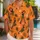 Red-Haired Island Spy Adventure for Sunny Getaways and Coastal Escapes with Friends Hawaiian Shirt - 1