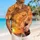Mythical Dragon And Anime Warrior Sunset Adventure For Fantasy Vacation Fans Hawaiian Shirt - 6