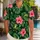 Expressive Green Frogs and Hibiscus for Tropical Getaways and Sunny Island Beach Days Hawaiian Shirt - 1