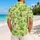 Frog Princess Fairytale Garden for Dreamy Cottagecore Nights and Whimsical Gifts Hawaiian Shirt - 2