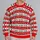 Red Evergreen Reindeer Snowflake Holiday Motifs for Christmas Gatherings All-over Print Knitted Sweater - 2
