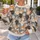 Colorful Cat Faces for Cozy Everyday Style and Weekend Casual Wear for Cat Lovers All-over Print Knitted Sweater - 5