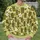 Tropical Tiki Mask And Hibiscus Motifs For Relaxed Island Weekend Streetwear For Men All-over Print Knitted Sweater - 6