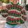 Christmas Reindeer And Snowflake Holiday Motifs For Festive Winter Celebrations All-over Print Knitted Sweater - 5