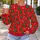 Christmas Trees, Candy Canes and Gifts for Holiday Gatherings and Winter Celebrations All-over Print Knitted Sweater - 5