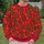 Christmas Trees, Candy Canes and Gifts for Holiday Gatherings and Winter Celebrations All-over Print Knitted Sweater - 6