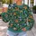Orange and Blue Koi Among Lily Pads for Calm Nature-Inspired Everyday Streetwear All-over Print Knitted Sweater - 5