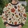 Autumn Leaf and Branch Motif for Woodland Walks and Cozy Fall Days All-over Print Knitted Sweater - 6