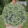 Playful Dinosaur Sketches for Casual Weekend Outings and Everyday Style Seekers All-over Print Knitted Sweater - 6