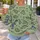 Playful Dinosaur Sketches for Casual Weekend Outings and Everyday Style Seekers All-over Print Knitted Sweater - 5