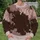 Dark Brown Spiderweb Motif for Autumn Streetwear and Everyday Casual Outfits Unisex All-over Print Knitted Sweater - 6