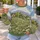 Wildflower Meadow Cottage Landscape for Whimsical Springtime Outings and Nature Lovers All-over Print Knitted Sweater - 7