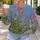 Snail and Wildflower Meadow for Nature Walks and Garden Days, Cottagecore Gift All-over Print Knitted Sweater - 7