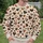 Rust And Cocoa Love Hearts for Cozy Date Nights and Romantic Weekend Outings for Her All-over Print Knitted Sweater - 8