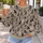 Scattered Cat Motifs for Cozy Weekends and Everyday Feline-Lover Style All-over Print Knitted Sweater - 5
