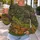 Enchanted Forest Garden With Wildflowers For Nature Walks And Cozy Weekends All-over Print Knitted Sweater - 5