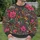Vibrant Wildflower Meadow for Everyday Outings and Relaxed Casual Style All-over Print Knitted Sweater - 6