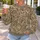 Antique Paisley Floral Ornament For Artful Everyday Style And Vintage Wardrobes All-over Print Knitted Sweater - 5