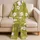 White Hibiscus Olive Tropic Style for Summer Nights and Coastal Getaways for Teen Girls Satin Pajamas Set - 5