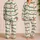 Candy Cane Holiday Nights for Cozy Christmas Evenings and Winter Gifting Women Satin Pajamas Set - 2